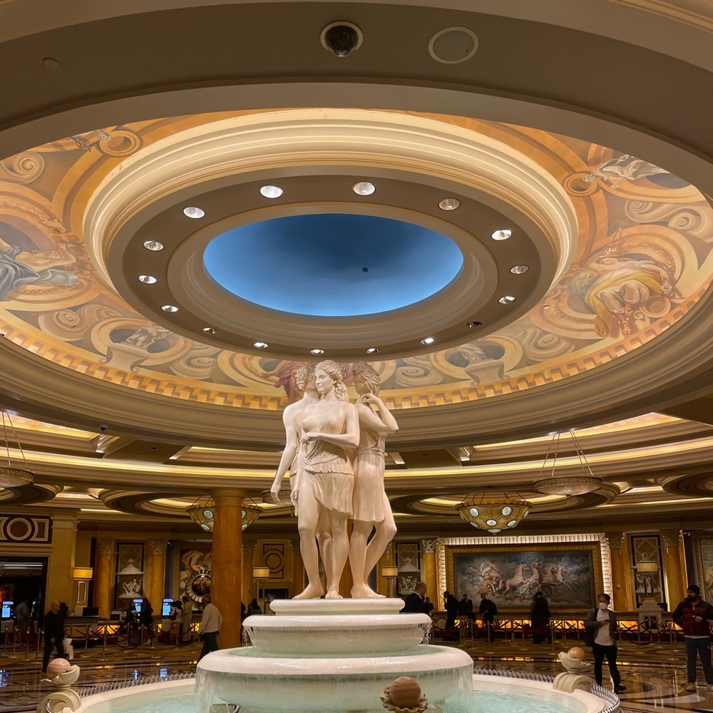 Meet your Posher, Erika